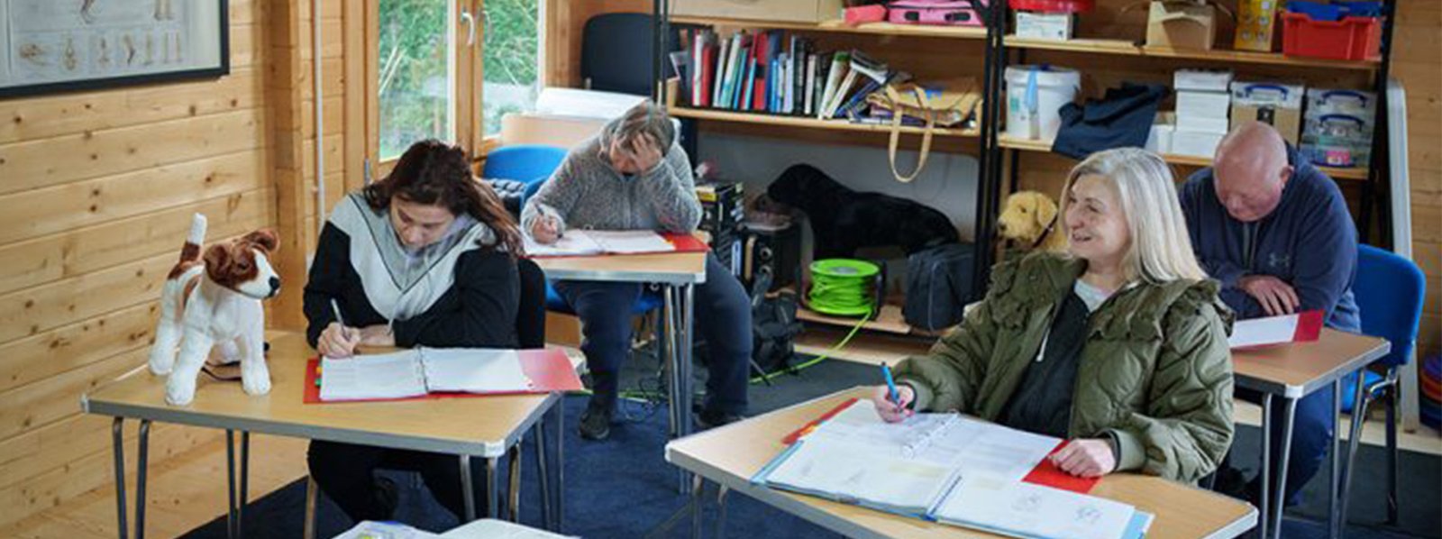 Group of learners enjoying a training session in Canine Hydrotherapy